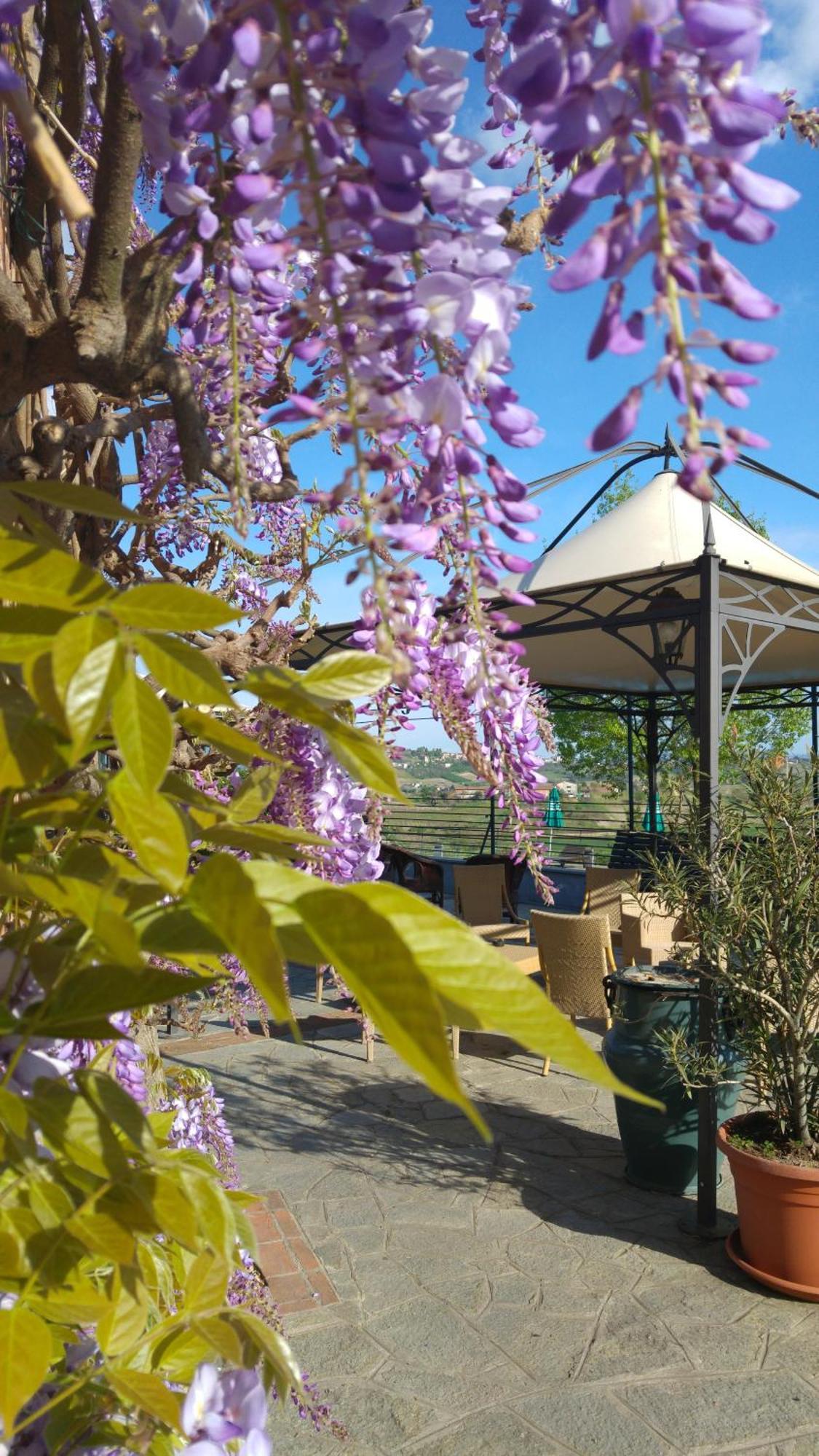 Locanda Del Boscogrande Montegrosso d'Asti Luaran gambar
