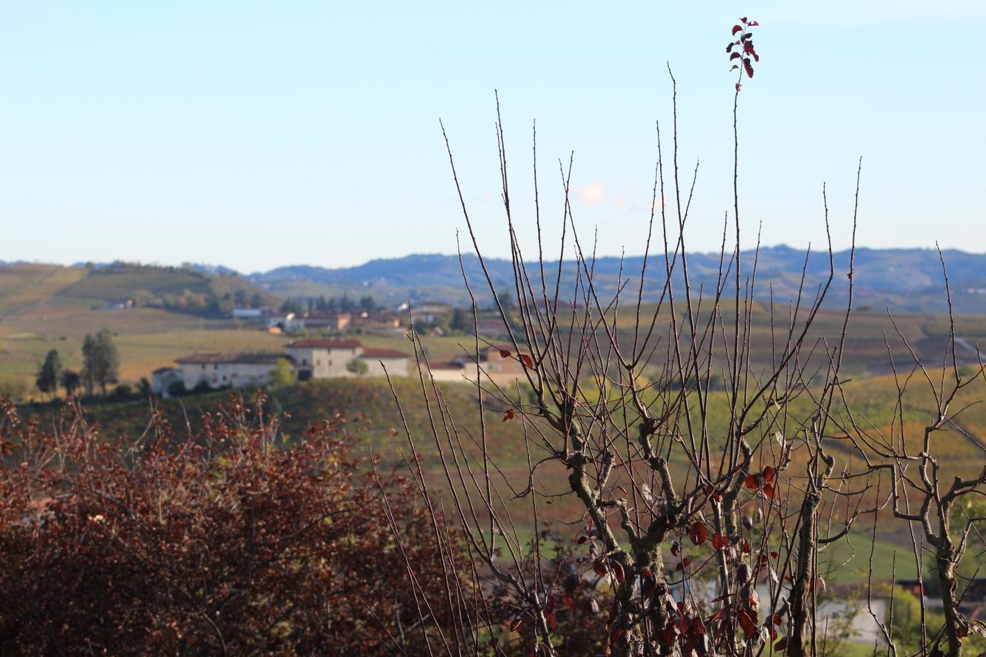 Locanda Del Boscogrande Montegrosso d'Asti Luaran gambar