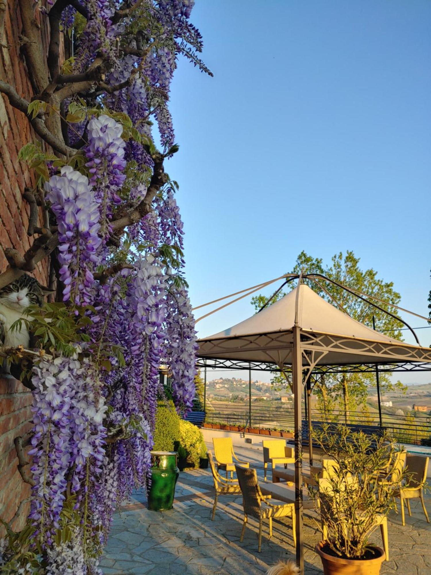 Locanda Del Boscogrande Montegrosso d'Asti Bilik gambar