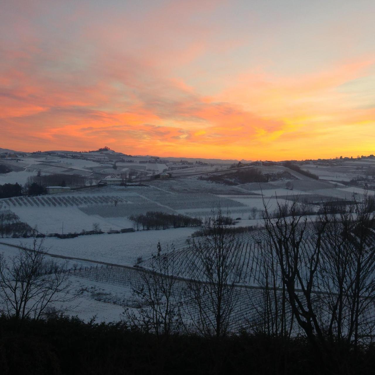 Locanda Del Boscogrande Montegrosso d'Asti Luaran gambar