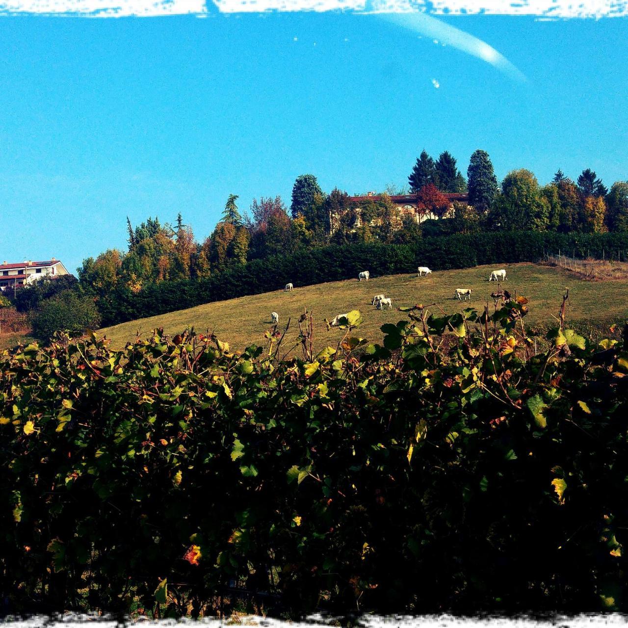 Locanda Del Boscogrande Montegrosso d'Asti Luaran gambar